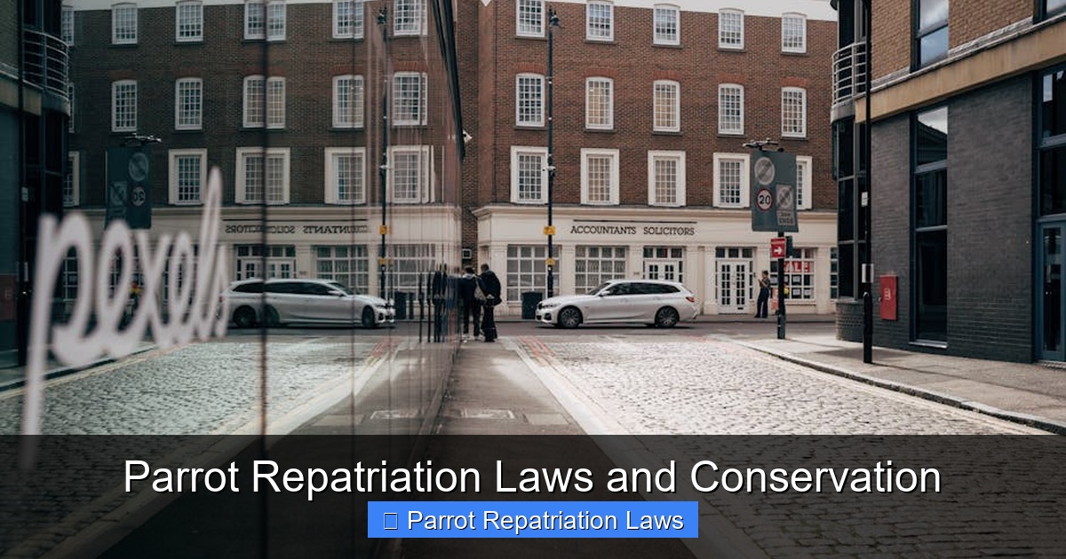 Featured image for Parrot Repatriation Laws and Conservation
