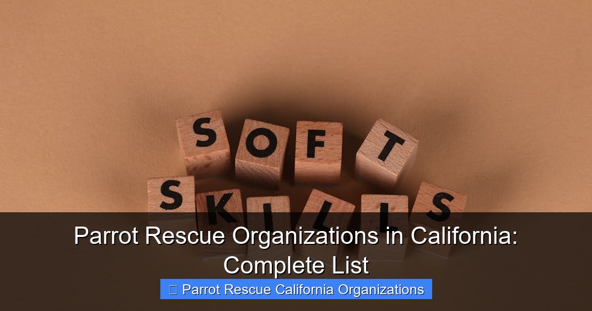 Featured image for Parrot Rescue Organizations in California: Complete List