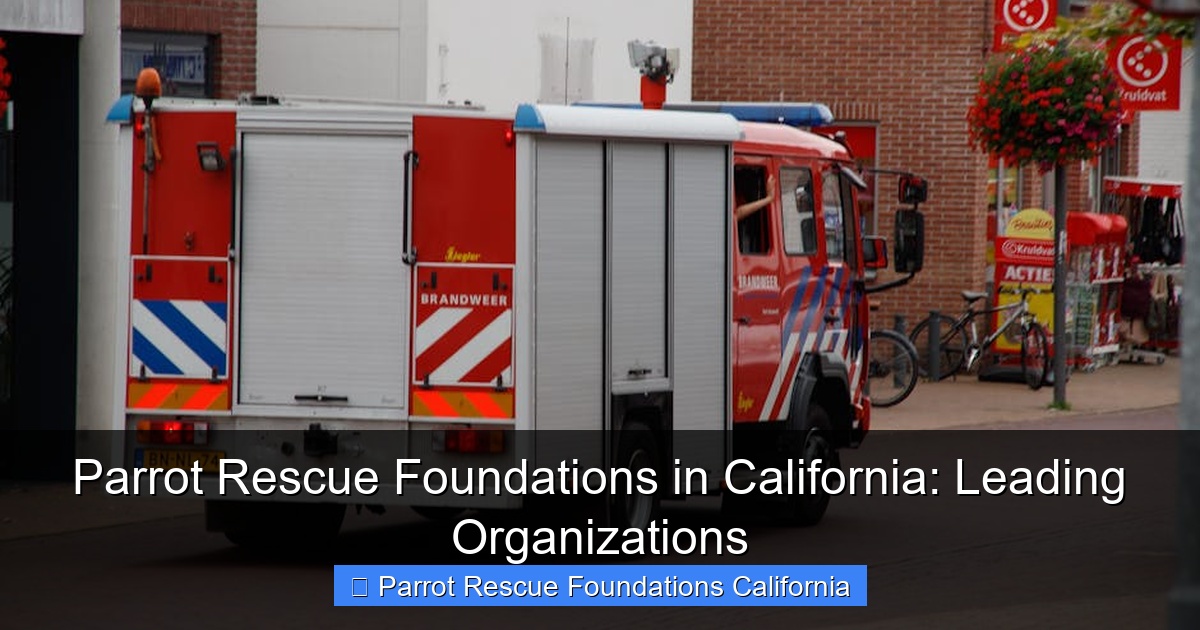 Parrot Rescue Foundations in California: Leading Organizations