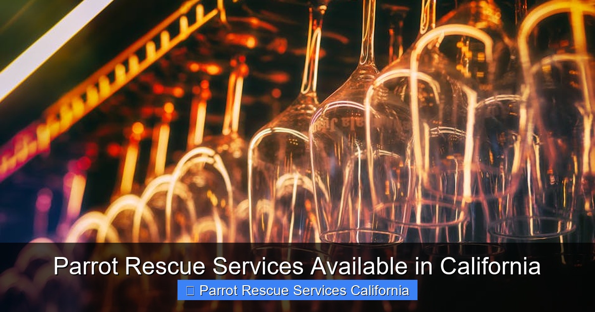 Featured image for Parrot Rescue Services Available in California
