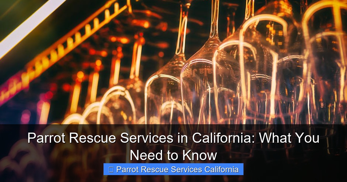 Featured image for Parrot Rescue Services in California: What You Need to Know
