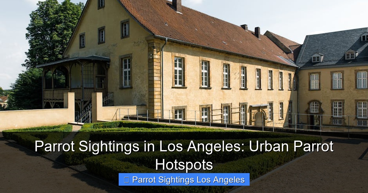 Parrot Sightings in Los Angeles: Urban Parrot Hotspots