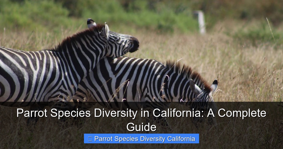 Parrot Species Diversity in California: A Complete Guide