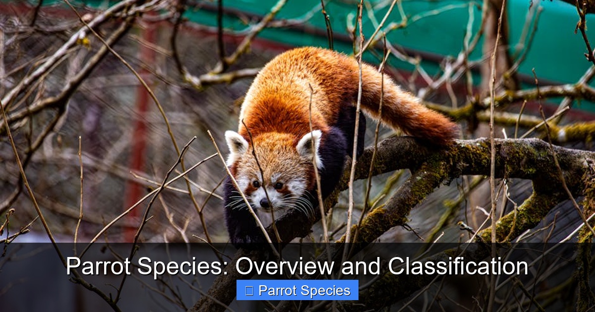 Featured image for Parrot Species: Overview and Classification