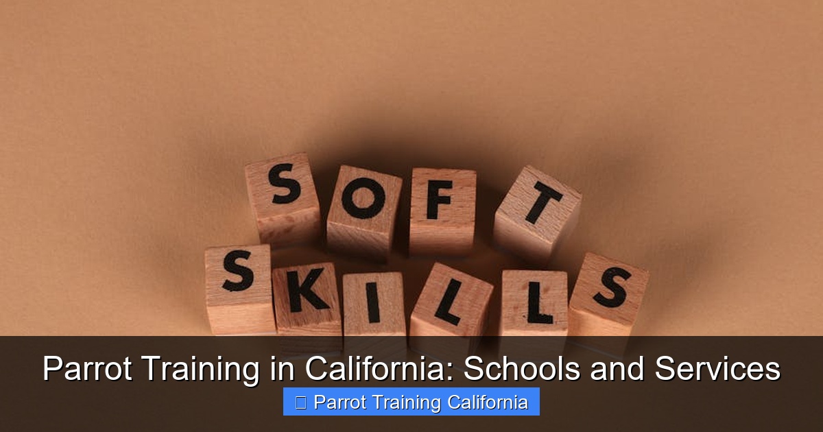 Featured image for Parrot Training in California: Schools and Services