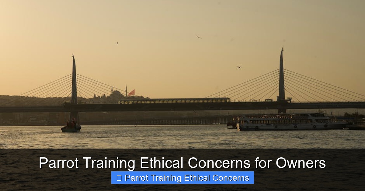 Featured image for Parrot Training Ethical Concerns for Owners