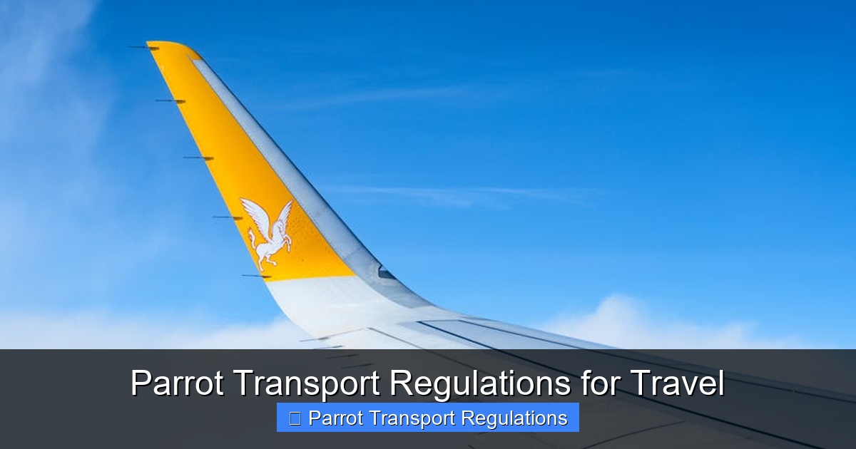 Featured image for Parrot Transport Regulations for Travel