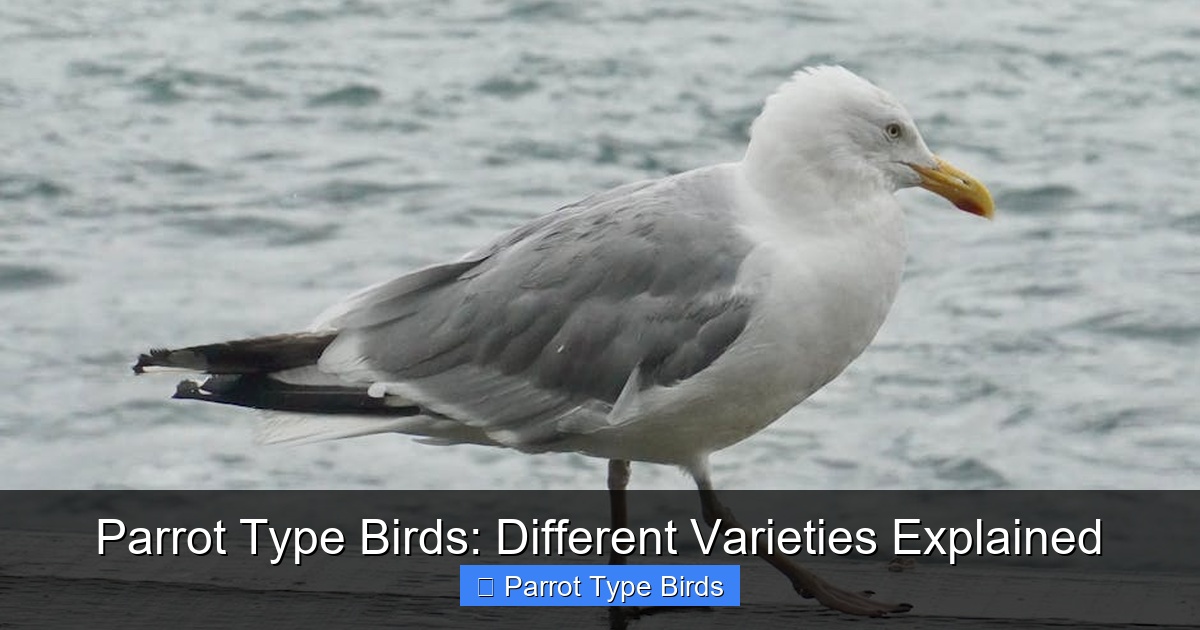 Featured image for Parrot Type Birds: Different Varieties Explained
