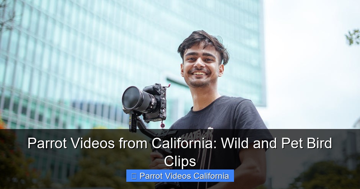 Parrot Videos from California: Wild and Pet Bird Clips