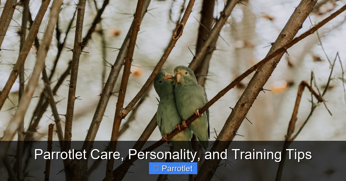 Featured image for Parrotlet Care, Personality, and Training Tips