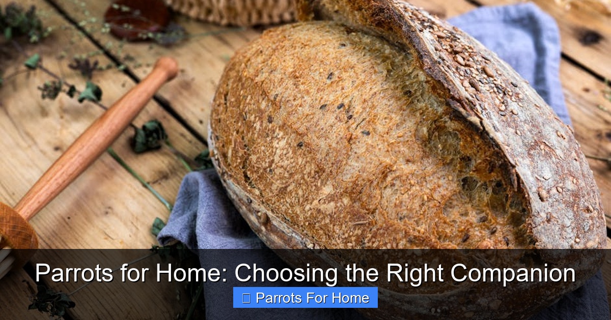 Featured image for Parrots for Home: Choosing the Right Companion