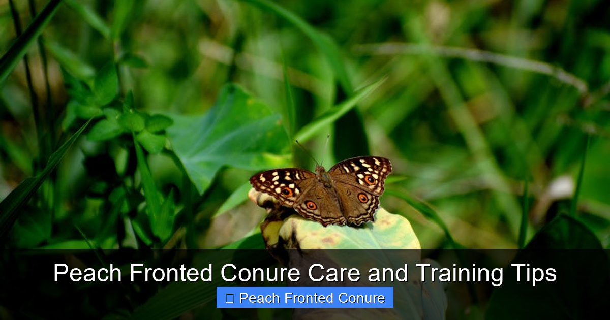 Featured image for Peach Fronted Conure Care and Training Tips