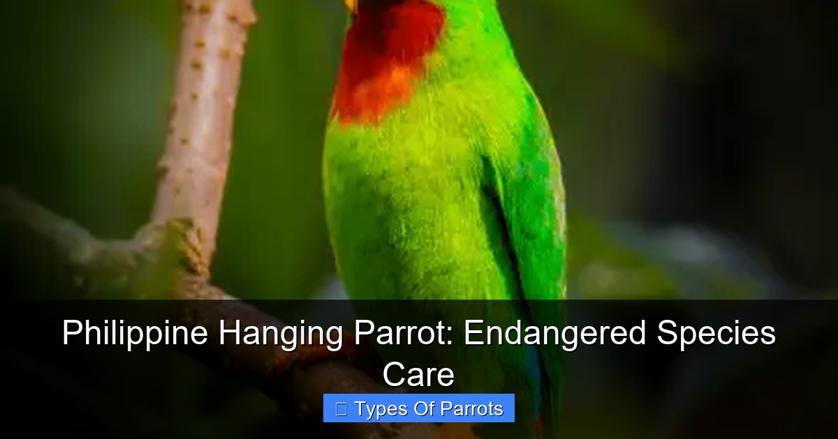 Featured image for Philippine Hanging Parrot: Endangered Species Care