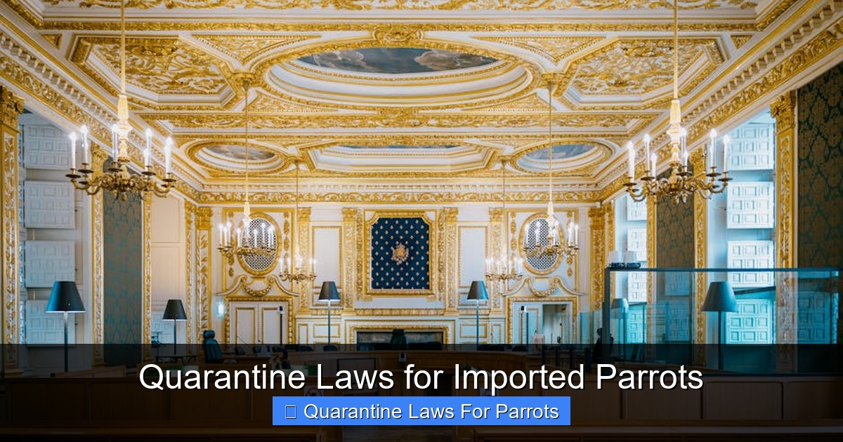 Featured image for Quarantine Laws for Imported Parrots