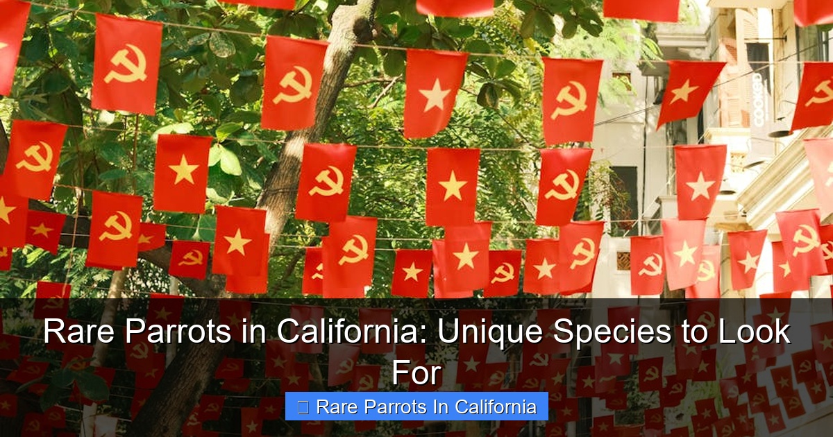 Rare Parrots in California: Unique Species to Look For