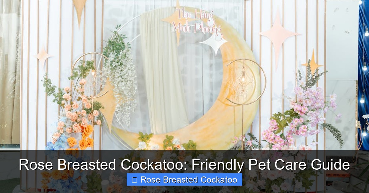 Featured image for Rose Breasted Cockatoo: Friendly Pet Care Guide