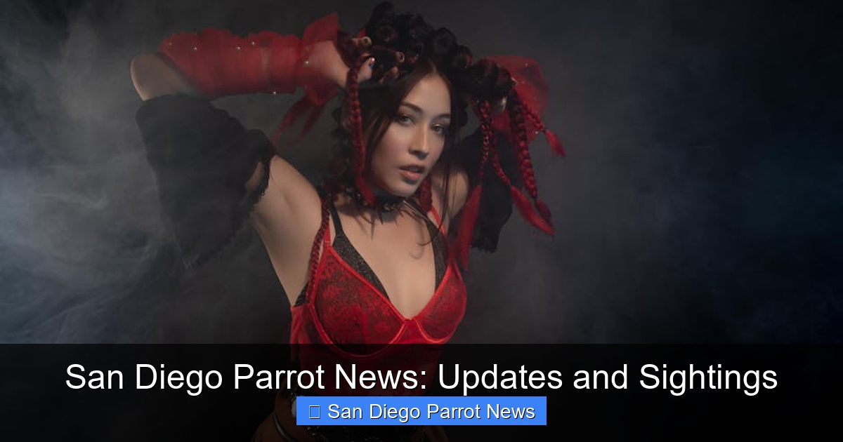 San Diego Parrot News: Updates and Sightings