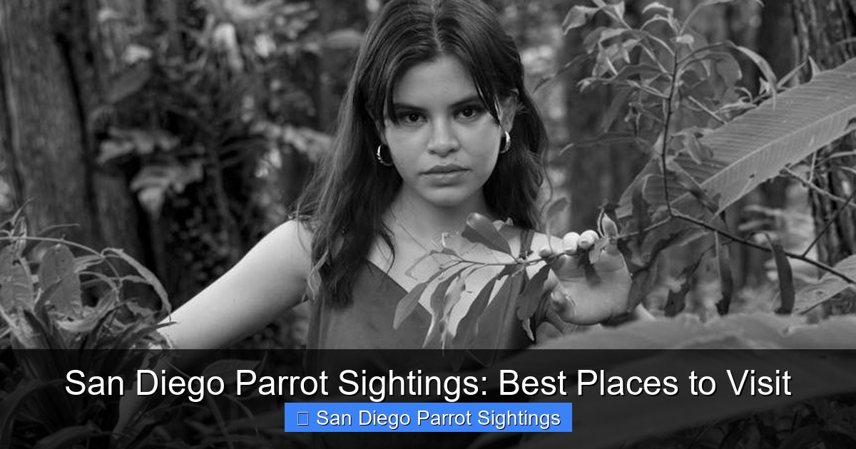 Featured image for San Diego Parrot Sightings: Best Places to Visit