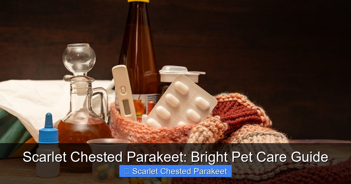 Featured image for Scarlet Chested Parakeet: Bright Pet Care Guide