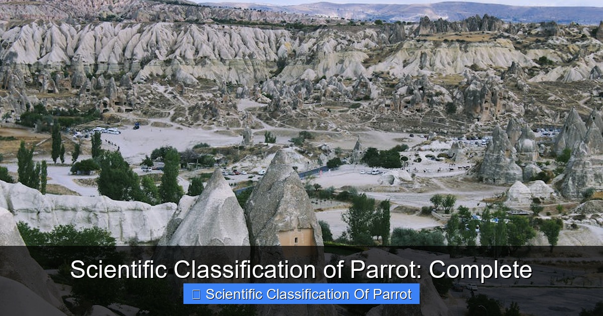 Featured image for Scientific Classification of Parrot: Complete