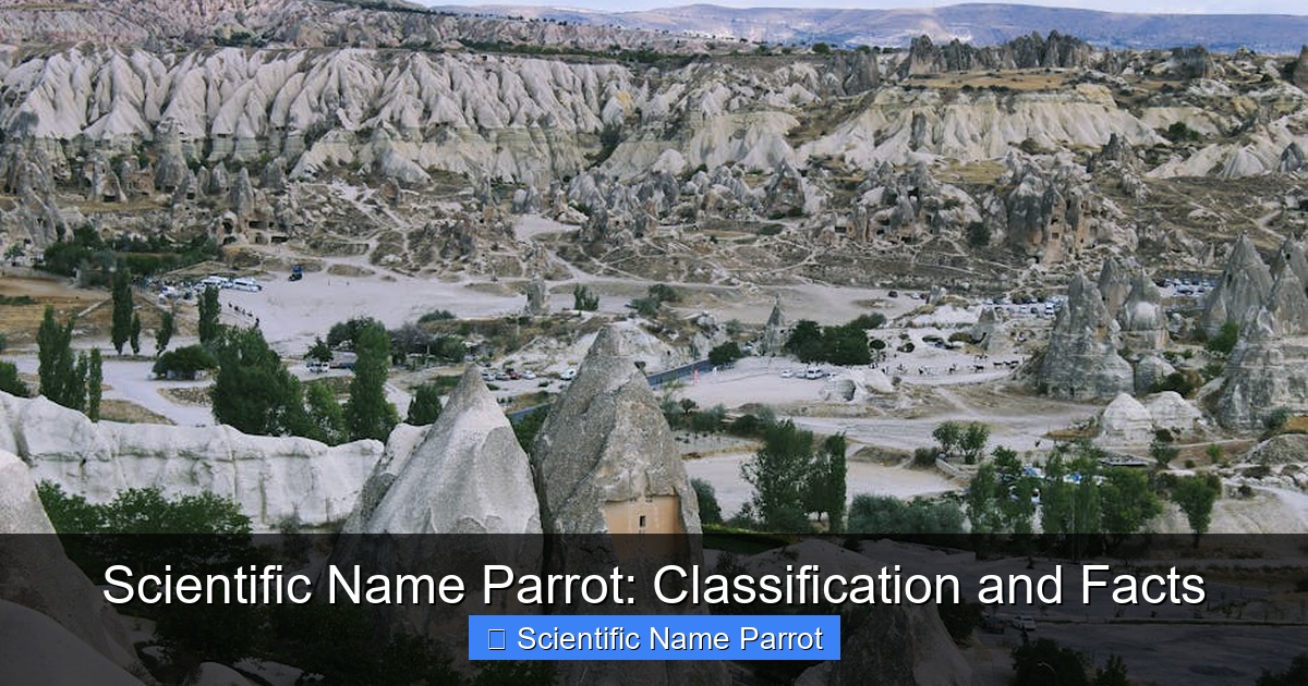 Featured image for Scientific Name Parrot: Classification and Facts