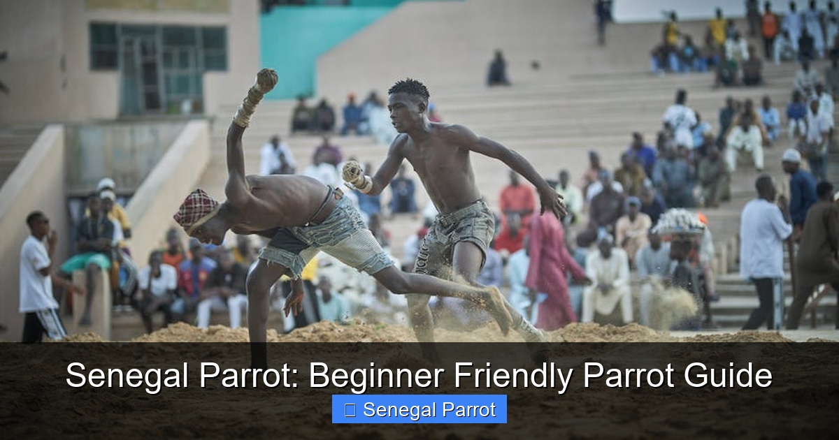 Featured image for Senegal Parrot: Beginner Friendly Parrot Guide