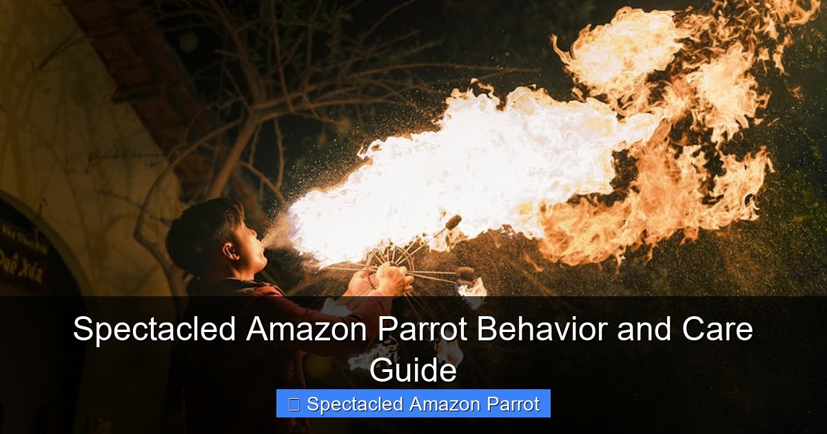 Featured image for Spectacled Amazon Parrot Behavior and Care Guide