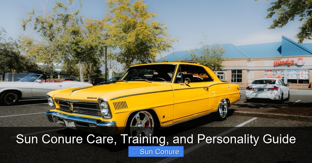 Featured image for Sun Conure Care, Training, and Personality Guide