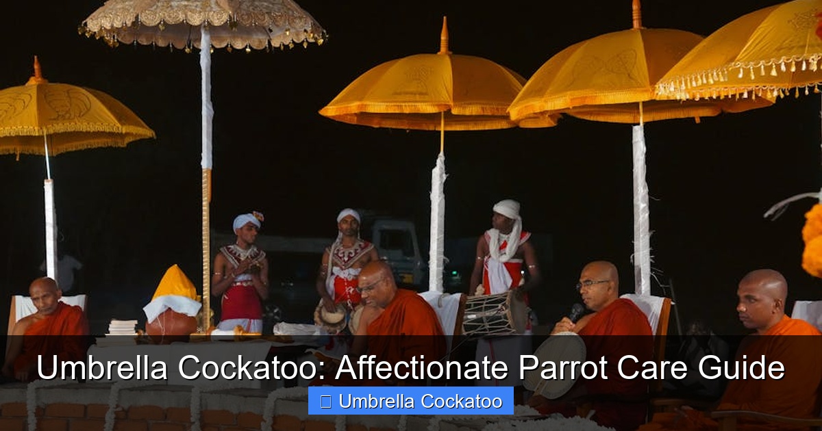 Featured image for Umbrella Cockatoo: Affectionate Parrot Care Guide