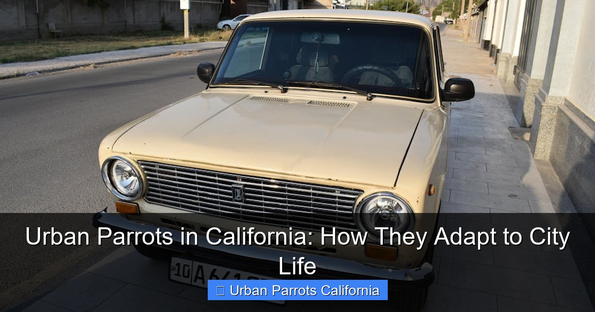 Urban Parrots in California: How They Adapt to City Life