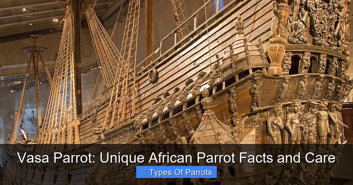 Featured image for Vasa Parrot: Unique African Parrot Facts and Care