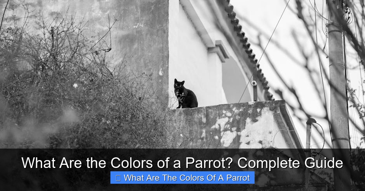 Featured image for What Are the Colors of a Parrot? Complete Guide