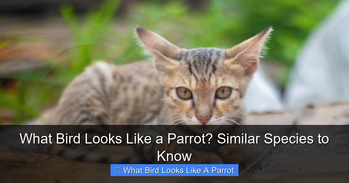 Featured image for What Bird Looks Like a Parrot? Similar Species to Know