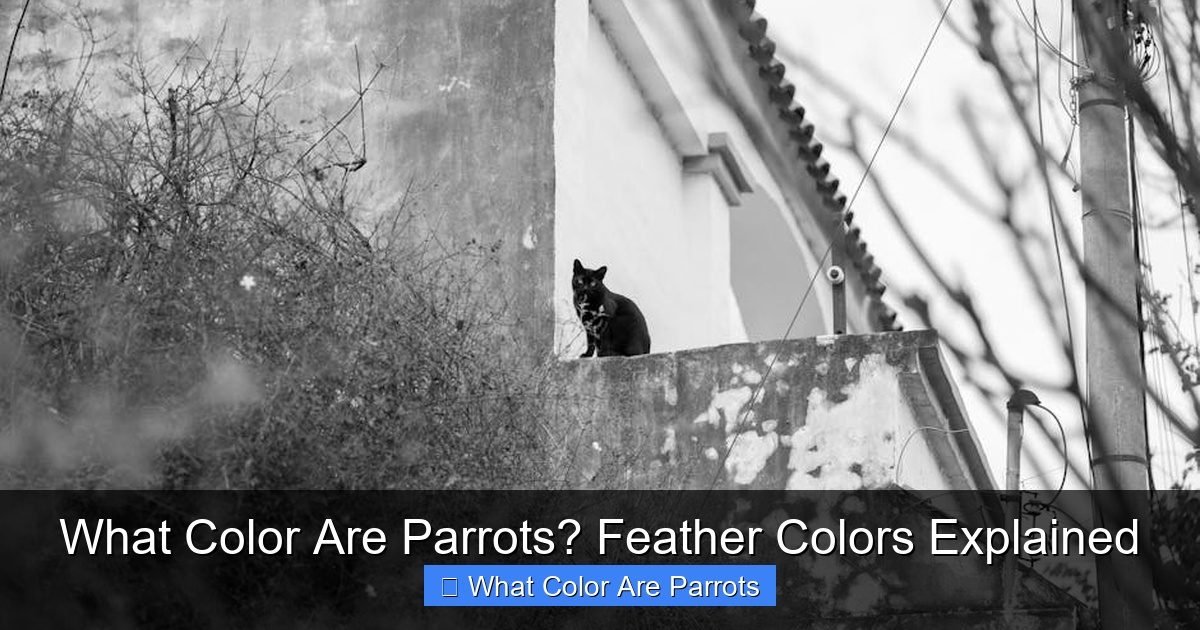Featured image for What Color Are Parrots? Feather Colors Explained