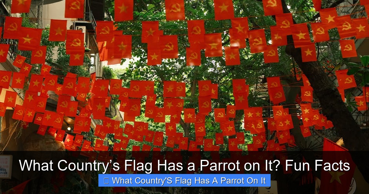 Featured image for What Country’s Flag Has a Parrot on It? Fun Facts