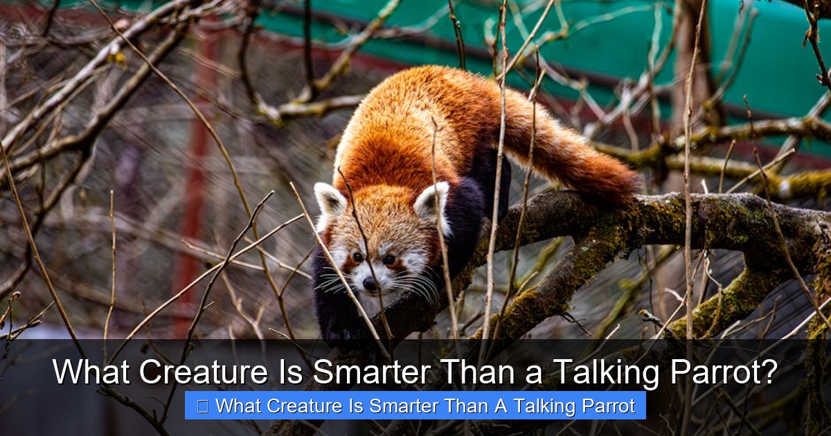 Featured image for What Creature Is Smarter Than a Talking Parrot?