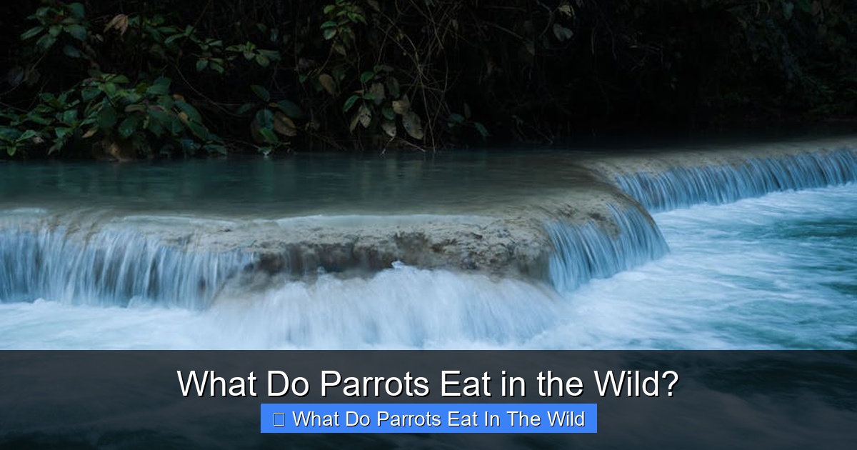 Featured image for What Do Parrots Eat in the Wild?