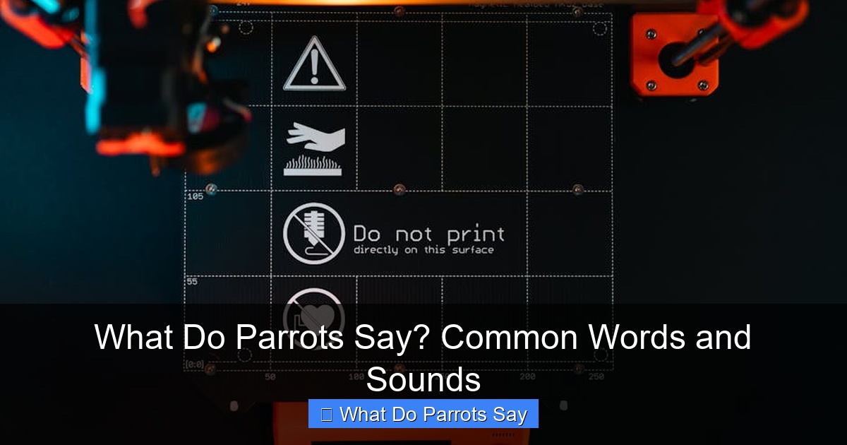 Featured image for What Do Parrots Say? Common Words and Sounds