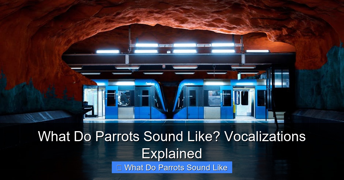 Featured image for What Do Parrots Sound Like? Vocalizations Explained