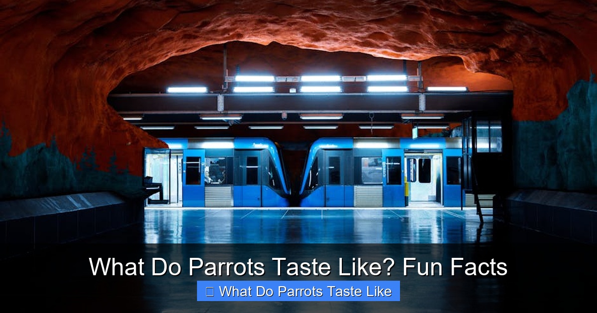 Featured image for What Do Parrots Taste Like? Fun Facts