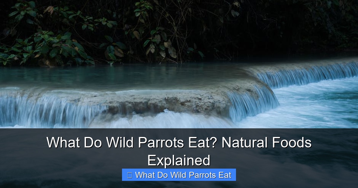 Featured image for What Do Wild Parrots Eat? Natural Foods Explained