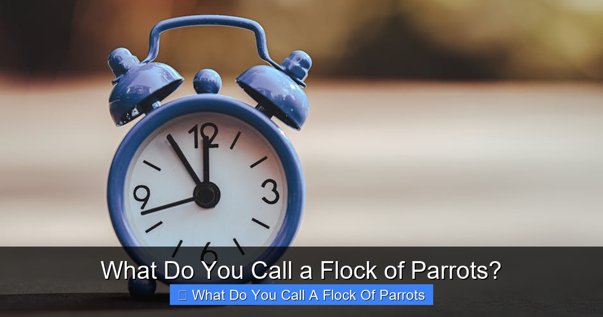 Featured image for What Do You Call a Flock of Parrots?