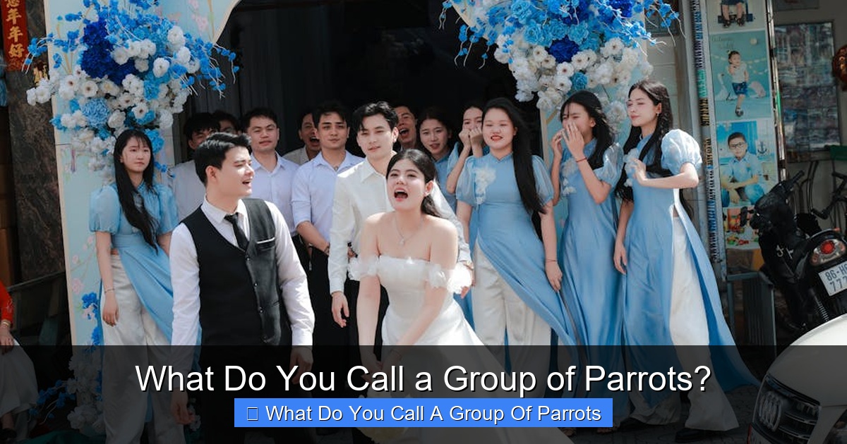 Featured image for What Do You Call a Group of Parrots?