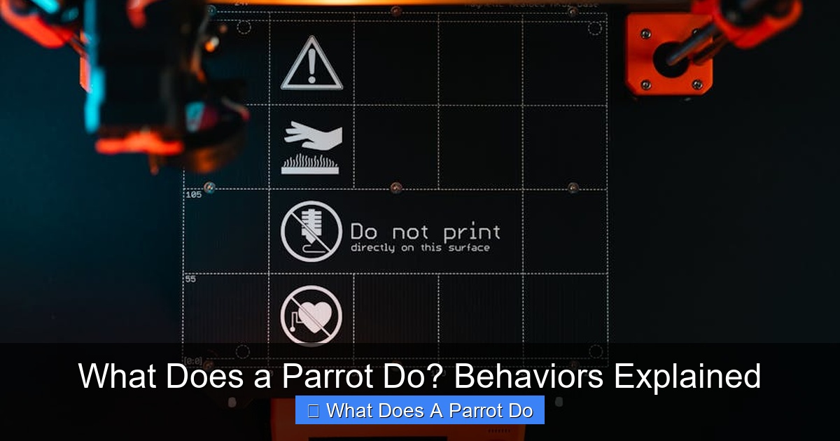 Featured image for What Does a Parrot Do? Behaviors Explained