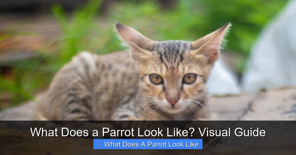 Featured image for What Does a Parrot Look Like? Visual Guide