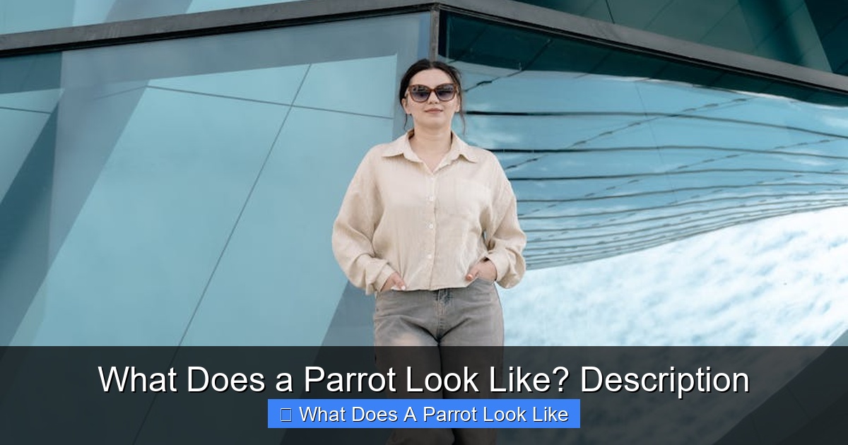 Featured image for What Does a Parrot Look Like? Description