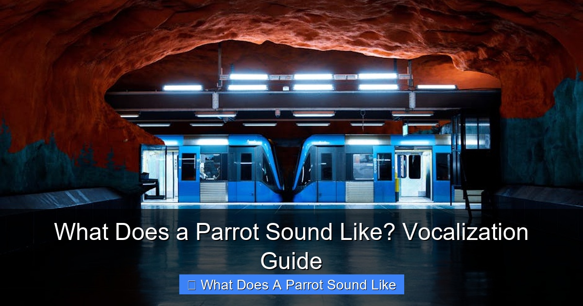 Featured image for What Does a Parrot Sound Like? Vocalization Guide