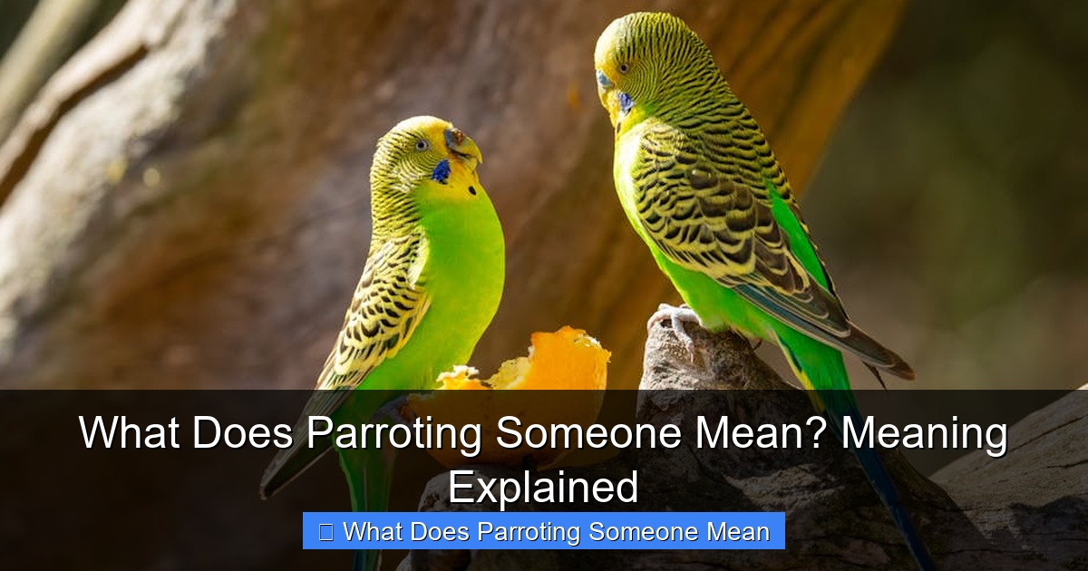Featured image for What Does Parroting Someone Mean? Meaning Explained