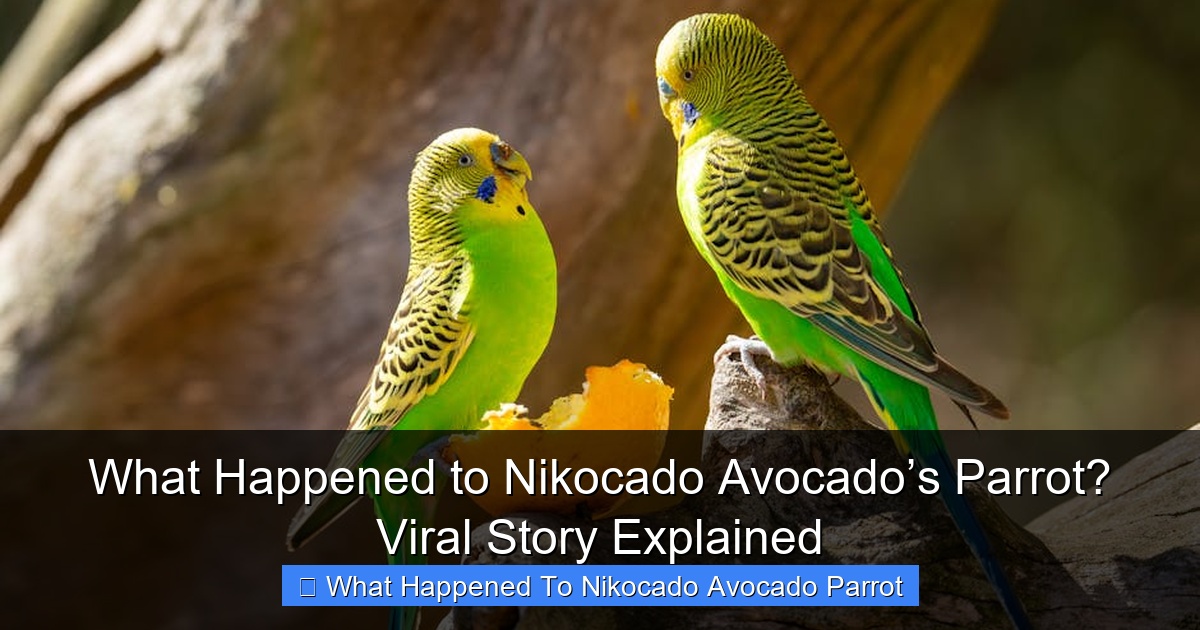 Featured image for What Happened to Nikocado Avocado’s Parrot? Viral Story Explained