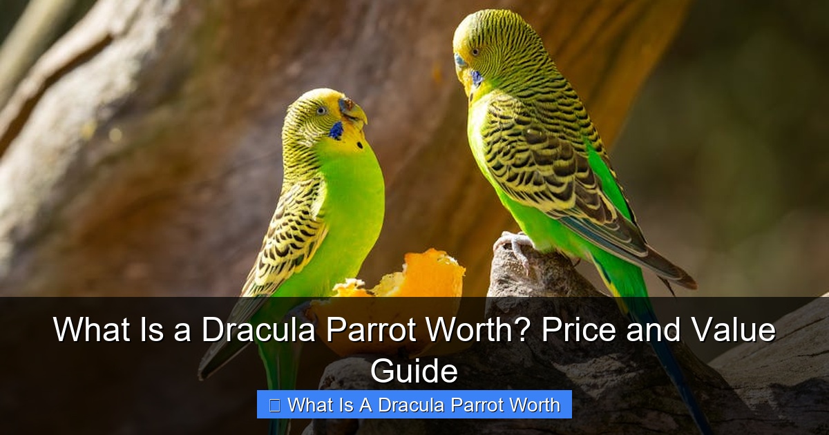 Featured image for What Is a Dracula Parrot Worth? Price and Value Guide